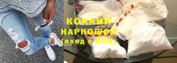 apvp Каменка