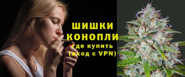 apvp Каменка