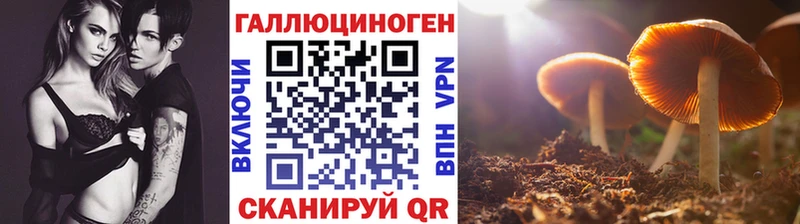 Псилоцибиновые грибы MAGIC MUSHROOMS  Никольск 